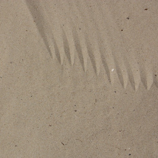 Sable de dunes en sac de 35 kg, le sac