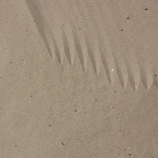 Sable de dune en sac de 35 Kg, en palette de 40 sacs, la palette
