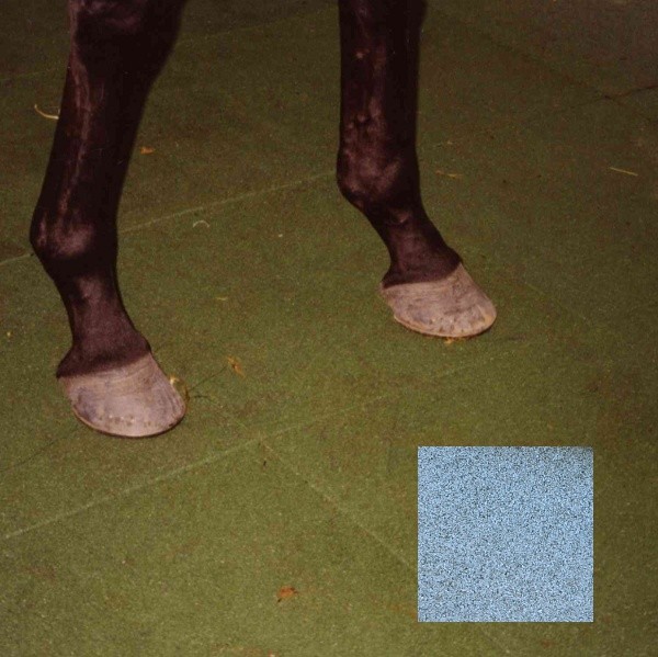 Dalle caoutchouc pour box à chevaux 50x50x2,5 cm couleur grise, le M2