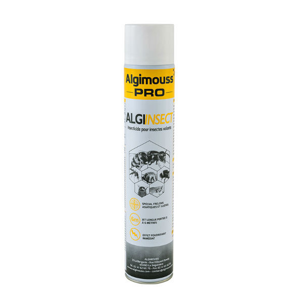 Bombe aérosol insecticide pour insectes volants 750 ml