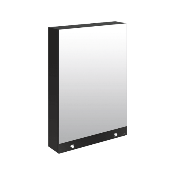 Armoire Miroir Delabie 3en1 Savon, Air L600 mm Noir Mat 510207