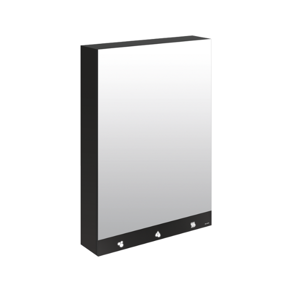 Armoire Miroir Delabie 4en1 Savon, Eau, Papier L600 mm Noir Mat 510205