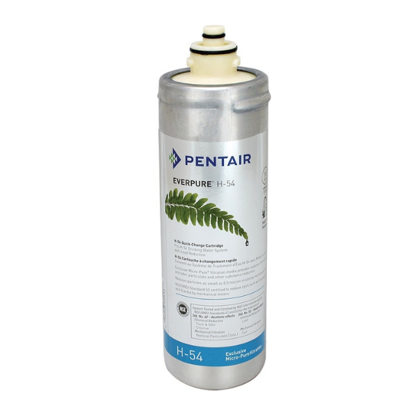 Cartouche filtrante Pentair Everpure H-54