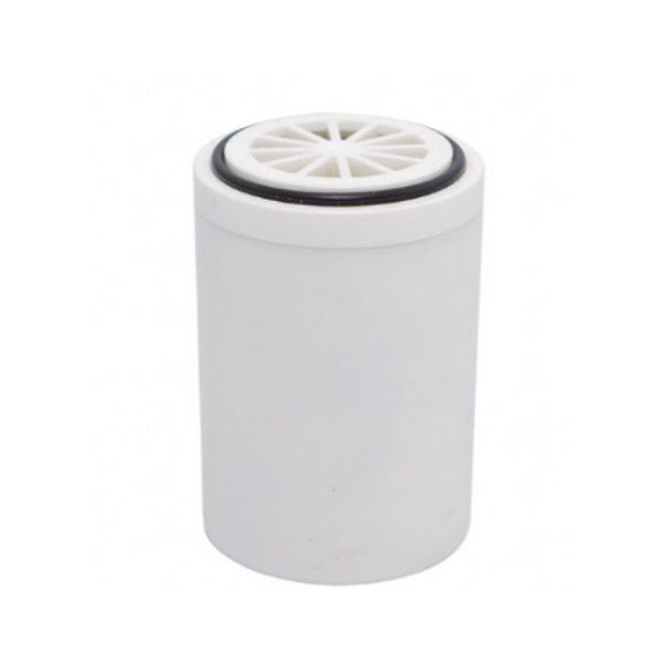 Cartouche pour Filtre de Douche Aquapro PR-F808