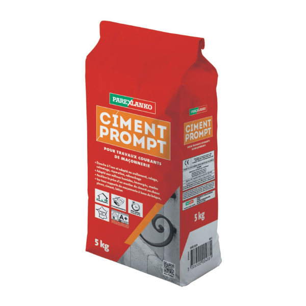 Ciment Prompt ParexLanko Prise Rapide, 5 kg