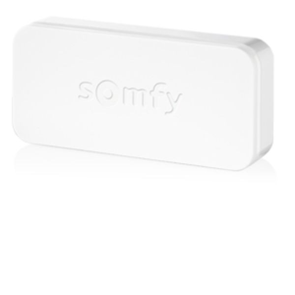 Détecteur de Vibrations Porte et Fenêtre Somfy Intellitag, 2401487