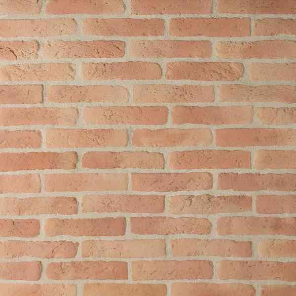 Brique de parement ton rouge 22x5 ep 1,5 cm paquet de 0,5 M2 