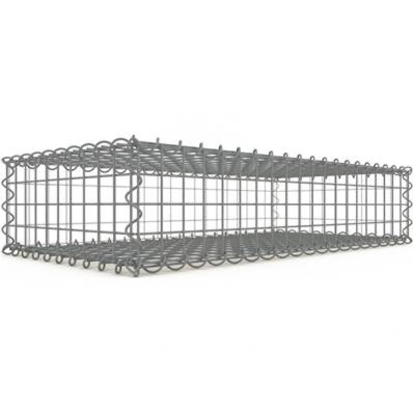 Gabion Rectangulaire 100x20x50 cm 4 faces fil 4 mm maille 5x5 cm