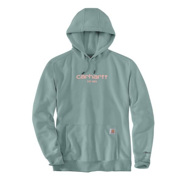 Sweat a capuche carhartt gris deals