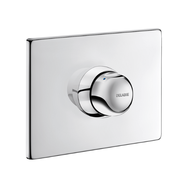 Mitigeur Douche Encastré Temporisé Delabie Tempomix 790218 + 790BOX