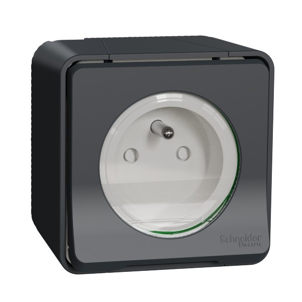 Prise de Courant Étanche Schneider Electric 2P+T Saillie Gris MUR35031