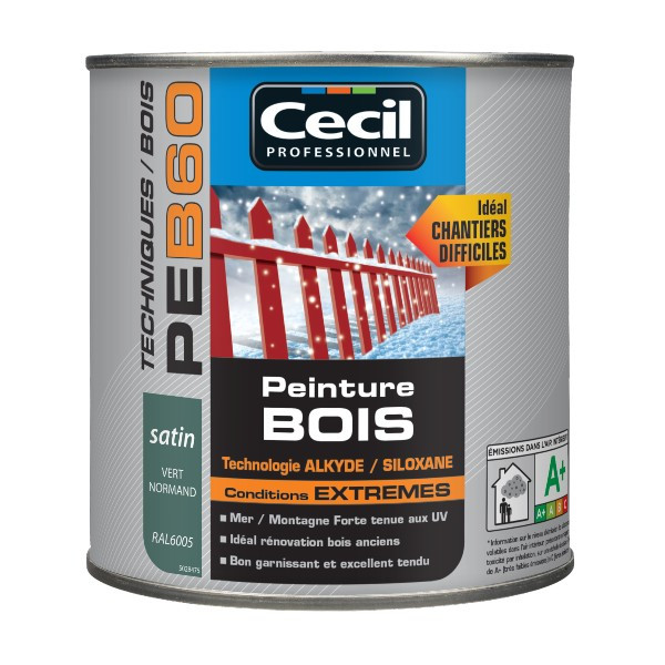 Peinture Bois Conditions Extrêmes Cecil PE B60 Vert Normand 0,5L