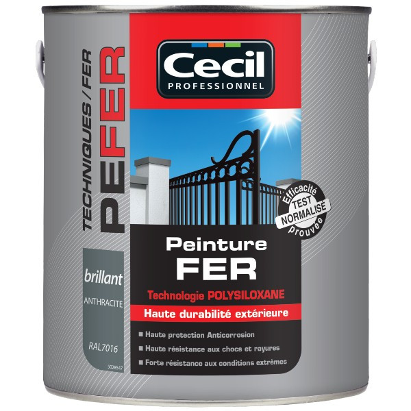 Peinture Fer Extérieur Haute Durabilité Cecil PE FER Anthracite 2,5L