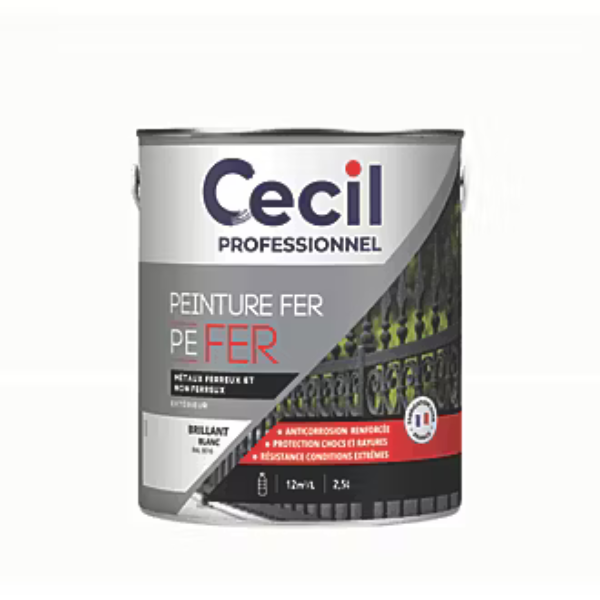 Peinture Fer Extérieur Haute Durabilité Cecil PE FER Blanc 2,5L