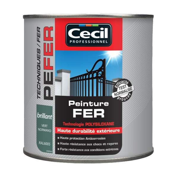 Peinture Fer Extérieur Haute Durabilité Cecil PE FER Vert Normand 0,5L