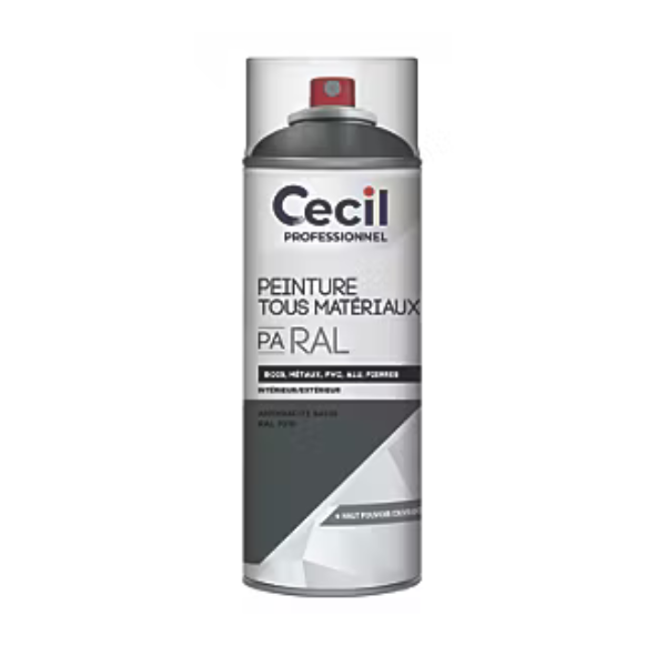 Peinture Tous Materiaux Cecil PA RAL Anthracite 400ml
