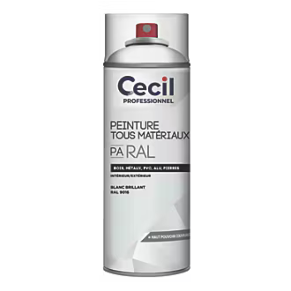 Peinture Tous Materiaux Cecil PA RAL Blanc Brillant 400ml