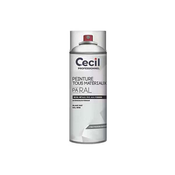 Peinture Tous Materiaux Cecil PA RAL Blanc Mat 400ml