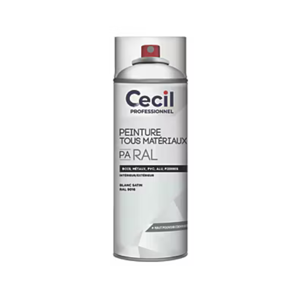 Peinture Tous Materiaux Cecil PA RAL Blanc Satin 400ml