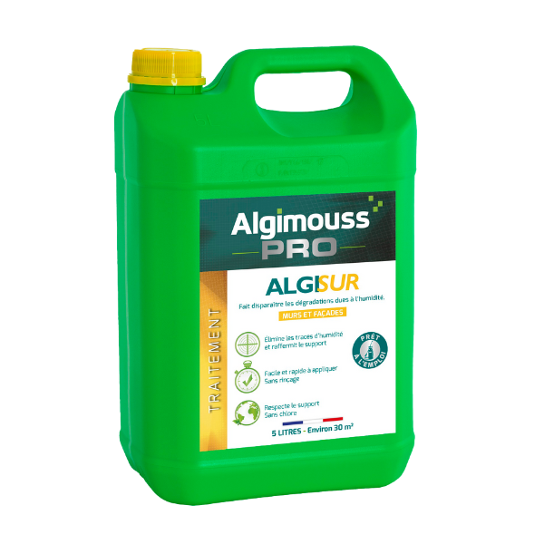 Traitement Anti-Salpêtre Murs et Façades AlgiSur, 5 litres