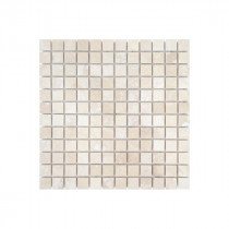 Mosaïque Beige Poli Marbre Droit 1044, Plaque 30,5 x 30,5 x 1 cm