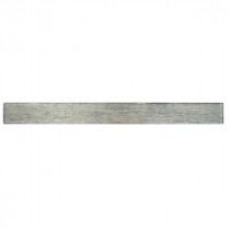 Listel Gris en Verre 3618, Plaque 50 x 4,8 x 0,8 cm