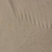 Sable de dune en sac de 35 Kg, en palette de 40 sacs, la palette