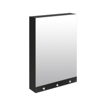 Armoire Miroir Delabie 4en1 Savon, Eau, Air L600 mm Noir Mat 510203