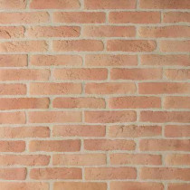 Brique de parement ton rouge 22x5 ep 1,5 cm paquet de 0,5 M2 