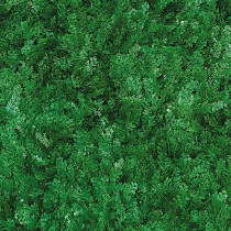 Mur Végétal Artificiel Cyprès Vert 40 mm 1m x 1m