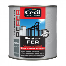 Peinture Fer Extérieur Haute Durabilité Cecil PE FER Anthracite 0,5L