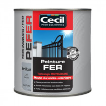 Peinture Fer Extérieur Haute Durabilité Cecil PE FER Gris Galet 0,5L