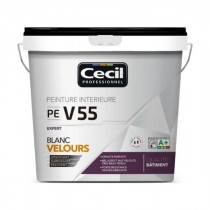 Peinture Intérieur Expert Cecil PE V55 Blanc Velours 10L