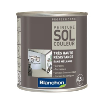 Peinture Sol Couleur Blanchon Gris clair, 0,5L