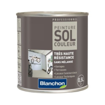 Peinture Sol Couleur Blanchon Gris foncé, 0,5L