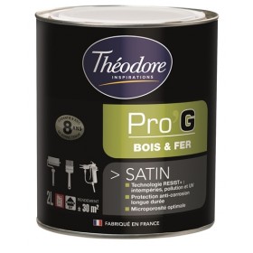 Peinture pour métaux et bois Théolaur Pro'g couleurs au choix, 2 pots de 2l