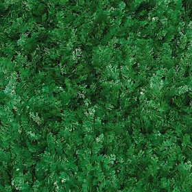 Mur Végétal Artificiel Cyprès Vert 40 mm 1m x 1m