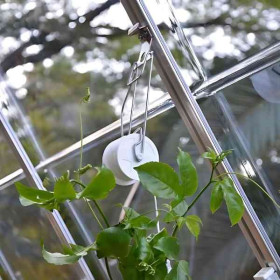 Kit de Palissage de Plantes pour Serre de Jardin Canopia
