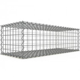 Gabion 100x30x40 cm fil 4 mm maille 5x5 cm 5 faces sans dessous