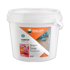 Décapant Peinture Universel Dalep Paintop Bidon de 5L 