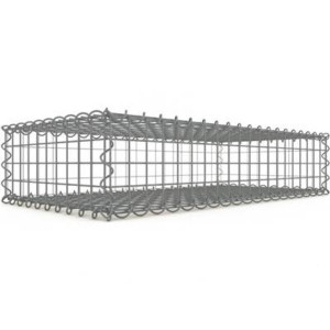 Gabion 100x20x50 cm fil 4 mm maille 5x5 cm 5 faces sans dessous