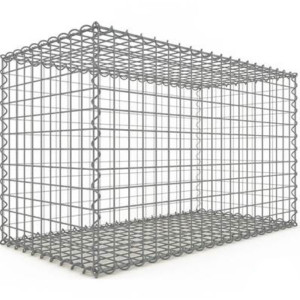 Gabion Rectangulaire 100x60x50 cm 4 faces fil 4 mm maille 5x5 cm