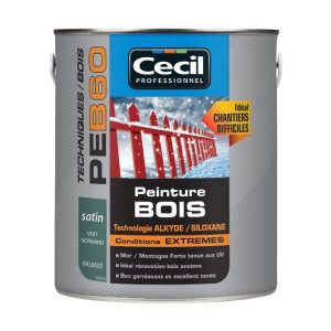 Peinture Bois Conditions Extrêmes Cecil PE B60 Vert Normand Satin 2,5L