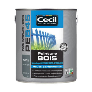 Peinture Bois Haute Performance Cecil PE B45 Anthracite Satin 0,5L